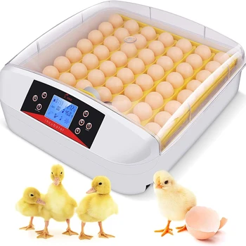LED Žibintai 56 kiaušinių inkubatorius mašina automatinė vištienos žąsų kiaušinių inkubatorius, skirtas parduoti