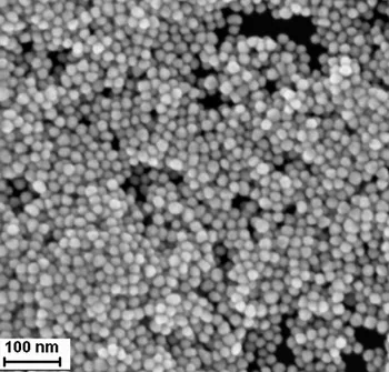 Streptavidin-modifikuotas sferiniai aukso nanodalelės